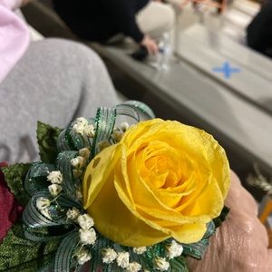 Meet your Posher, Lisa